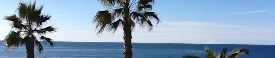 La Jolla View