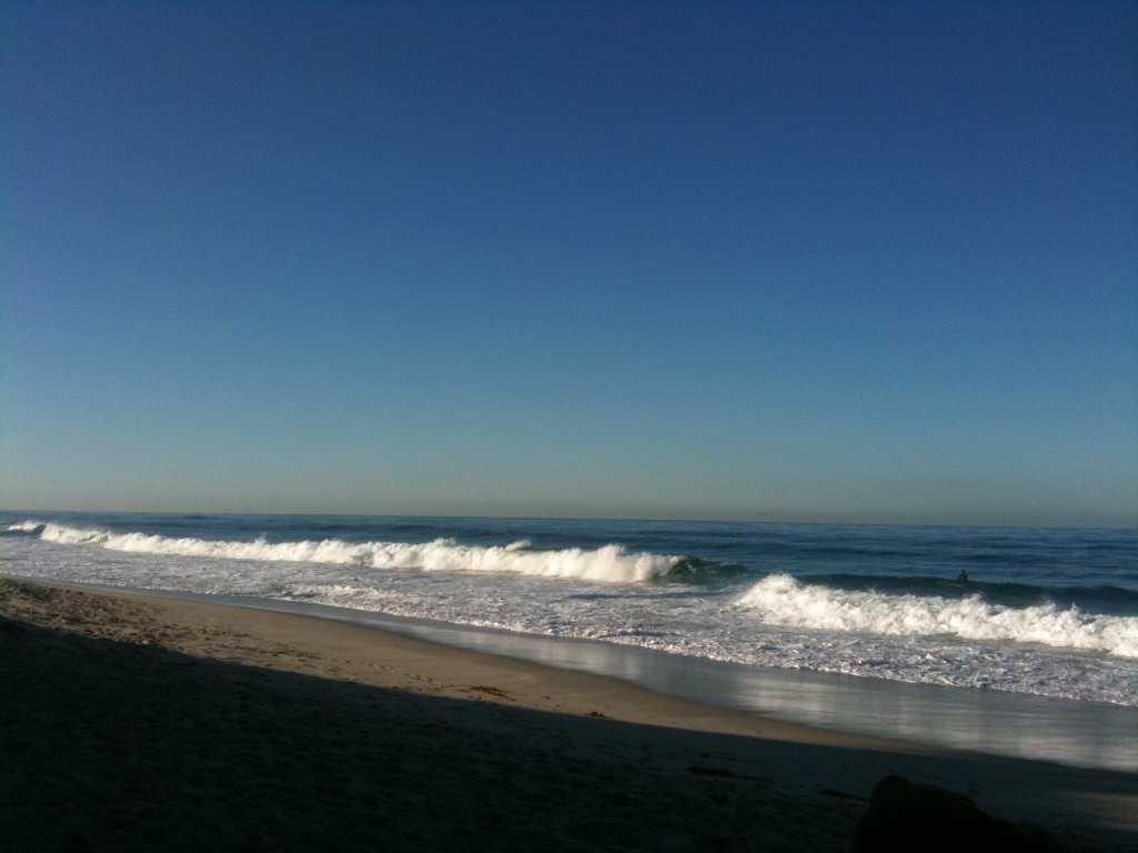La Jolla Beach (find the surfer)
