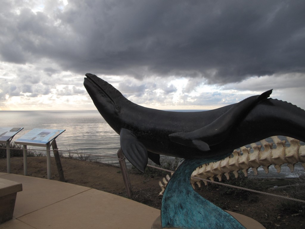 Whale Sculputure